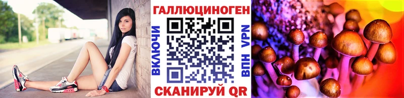 Псилоцибиновые грибы Magic Shrooms  Муром 